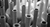 Banner rotativo 2