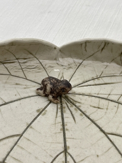 Porta Objetos Sapinho em cerâmica, feito à mão. - comprar online