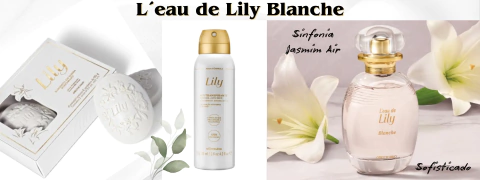 Carrusel Um Toque Gentil