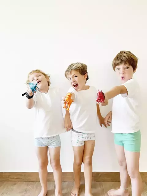 Boxer Dino (pack 3)
