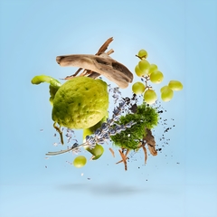 Casamorati - Mefisto Gentiluomo na internet