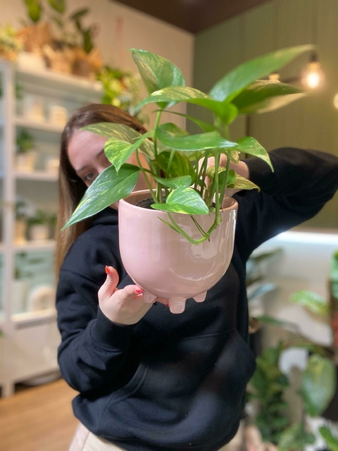 OLIVIA - comprar online