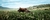 Imagem do banner rotativo HORN UND HUF