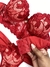 Conjunto cropped guippir Luxo Vermelho - Greice Intimates