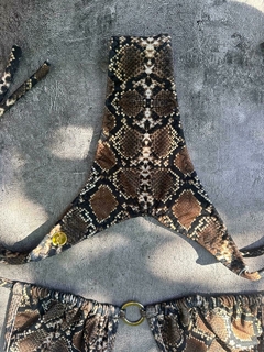 BASICA REPTIL - tienda online