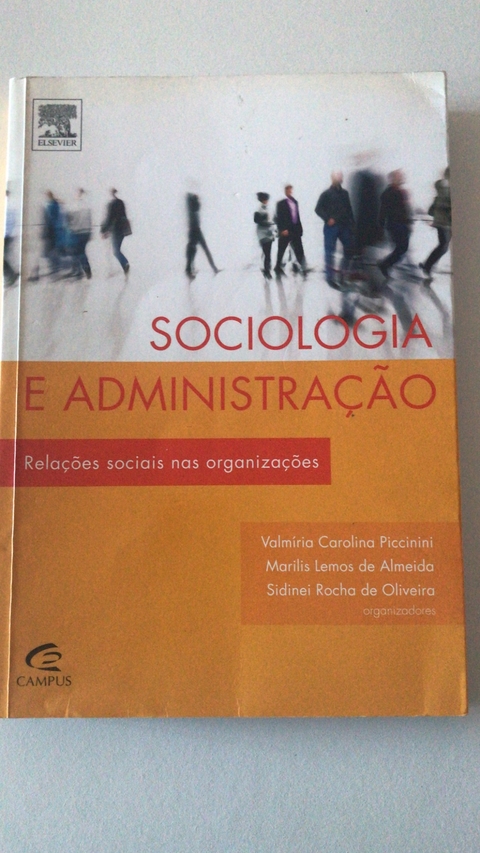 PICCININI, Valmíria Carolina;ALMEIDA, Marilis Lemos;OLIVEIRA, Sidnei Rocha de. Sociologia e Administração