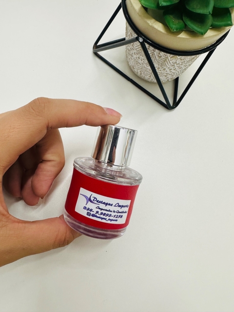 Miniatura Dream Brand CH Fem