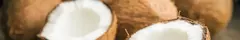 Banner da categoria Coconut Dyed