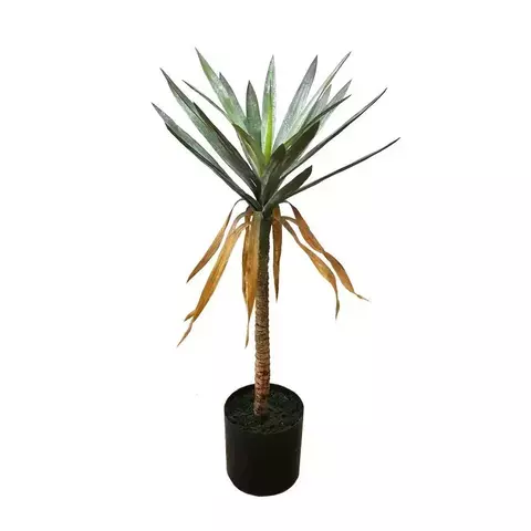 PLANTA PINCHES 80cm