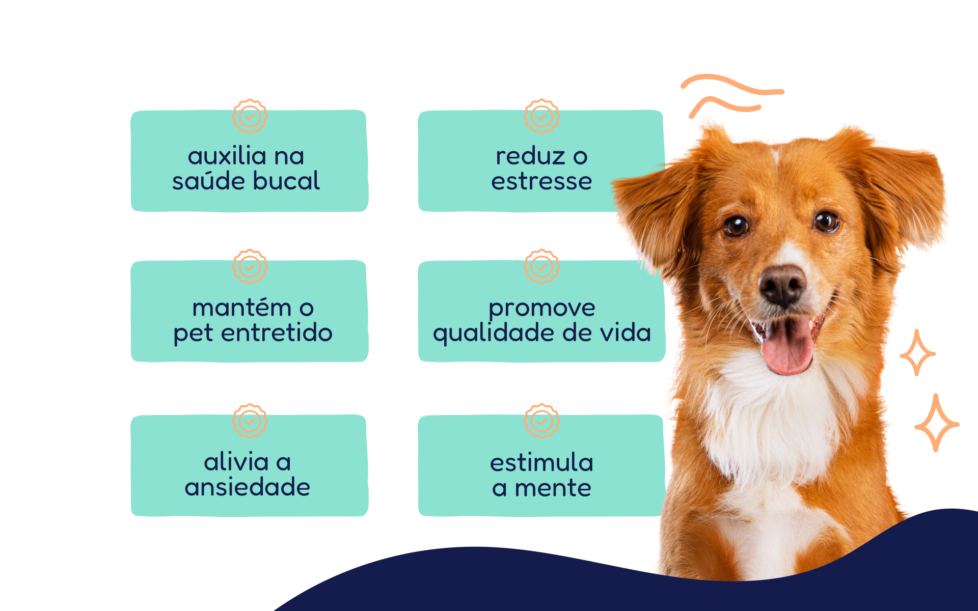 Banner de Frebo Pet