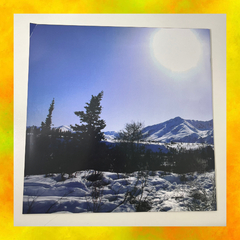 Imagem do ⚡️LP Eddie Vedder - Into The Wild (Importado europeu/2024)