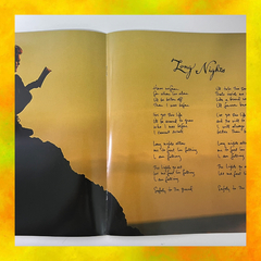 ⚡️LP Eddie Vedder - Into The Wild (Importado europeu/2024)