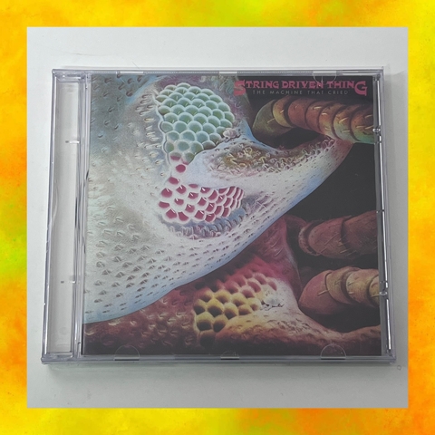 ⚡️CD String Driven Thing - The Machine That Cried