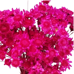 Sempre Viva Flor Seca - loja online