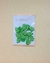 Pacote folhas duplas (P). - comprar online