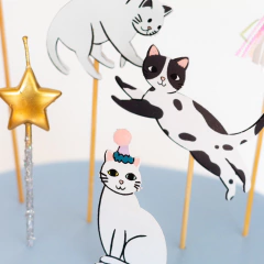 Imagen de KIT "GATITOS"