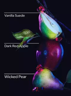 PRÉ ENCOMENDA - Recarga de fragrância Wallflowers Rainha Má X Bath & Body Works - 24ML - comprar online