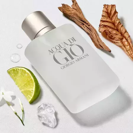 Perfume Giorgio Armani Acqua Di Gio Eau de Toilette Masculino 100ML