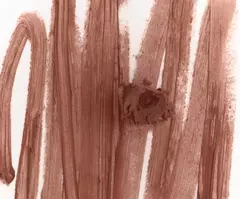 Imagem do PRÉ ENCOMENDA - Peptide Lip Shape - RHODE
