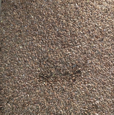 SEMENTE DE LINHAÇA MARROM