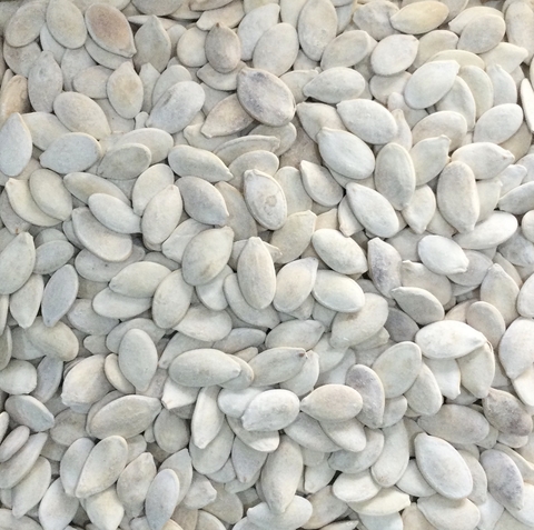 SEMENTE DE ABÓBORA TORRADA COM SAL