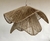 Kit de materiales Lámpara Willy - Nova Homedecor