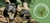 Banner rotativo 1