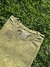T-SHIRT ESTONADA VERDE OLIVA - loja online