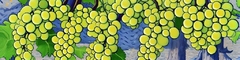 Banner da categoria Vermentino