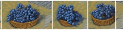 Banner da categoria Graciano