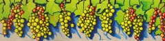 Banner da categoria Grenache Blanc