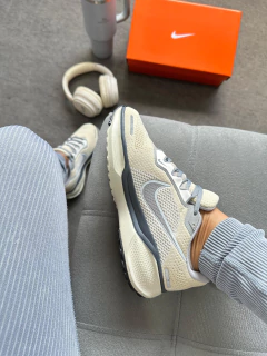 Air Zoom Pegasus 41 prime Off/Cinza - Gabi Soares Calçados