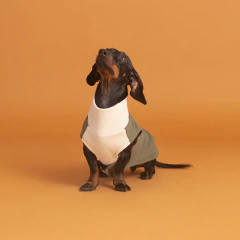 Roupa pet fleece dachshund MILITAR - GAOW Pet Style | Dachshunds