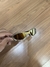 Penny 24K Oakley - comprar online