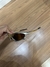 Penny 24K Oakley - Bossmenn