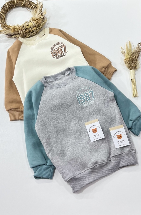 BUZO UNIVERSITY FRIZADO - comprar online