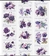 Pet tape flores roxas 6,5 cm X 3 m