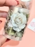 Pet tape bouquet branco 5cm X 2m - com recorte - Papel e Flor