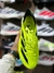 Imagem do Adidas Adizero Adios Pro 3 - Verde Limão