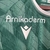 Camisa Santiago Wanderers I 23/24 - Torcedor Macron Masculina - Verde com detalhes em branco - King Sport Imports