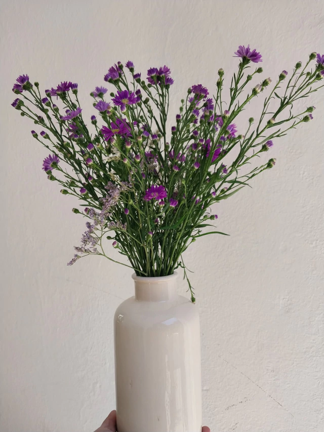 A 170 Violette STOCK Limitado - comprar online