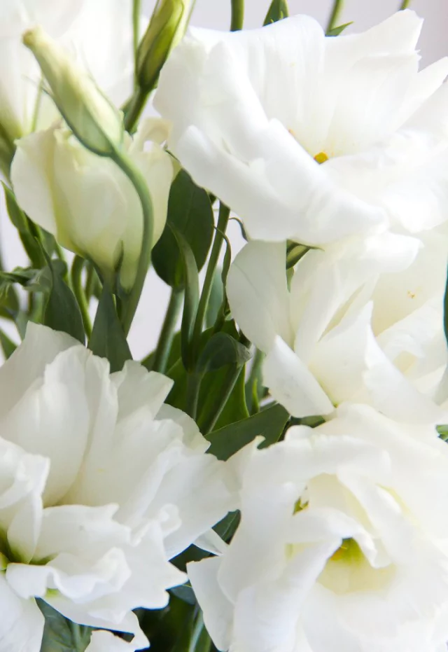 A107 - Arreglo con Lisianthus en internet