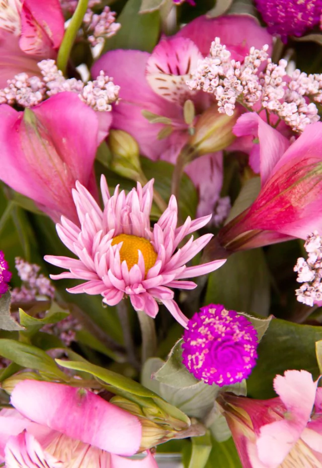 c2- campestre con mix de flores en internet