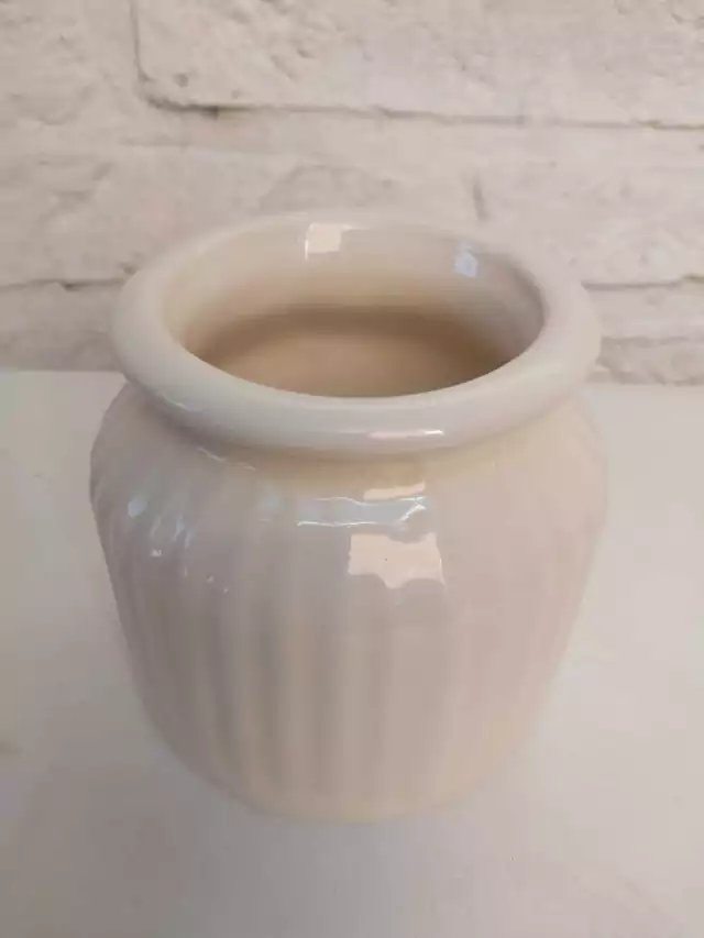 Florero Acanalado en internet