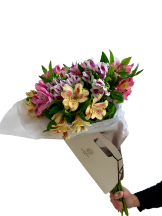 R106 - altroemerias en varios tonos