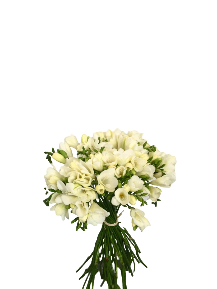 R128 - Ramo con fresias - comprar online