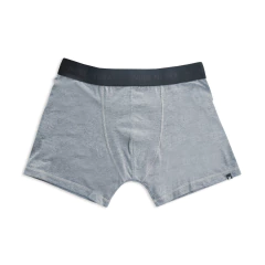 Boxer Gris (NG000001G) en internet