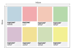 Pantone set - PL 36 - comprar online