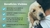 AGILITY GOLD PRESCRIPTION EN (ENTERICO) Lata 360 grms - comprar en línea