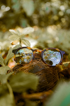 Colección Miukh - “AMAZONIA POLARIZADO” - Centro Optico Medrano